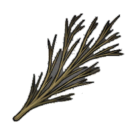 Excellent Willow Branches