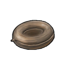 Torus Chameleon Plant Seed