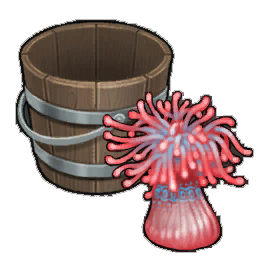 Beadlet Anemone