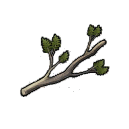 Robust Cypress Branches