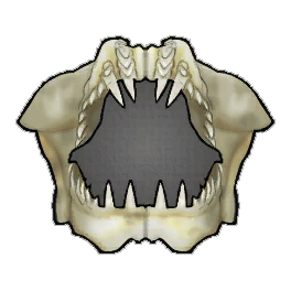 Durable Shark Jaw