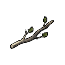 Sturdy Cypress Branches