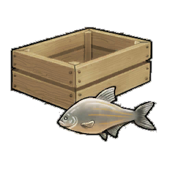 Cream Bream