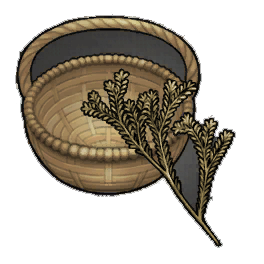 Roseus Rosemary