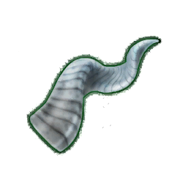 Ridged Goat Horn (Brewed)
