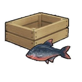 Brilliant Bream