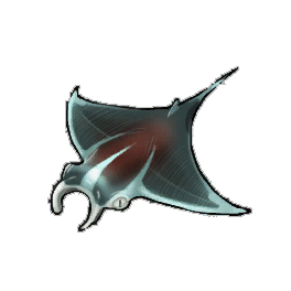 Nimble Ray