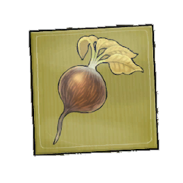 Furtop Beetroot Seed Packet