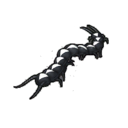 Butler Centipede