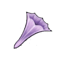 Mauve Bellplant