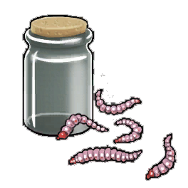 Rosy Maggots