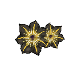 Midnight Wallplant