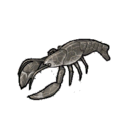 Rock Lobster