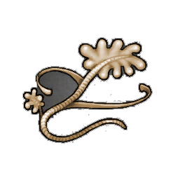 Tan Kelp