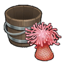 Strawberry Anemone