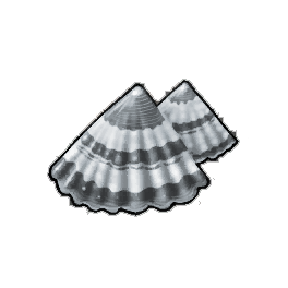 Clinchshell Limpet