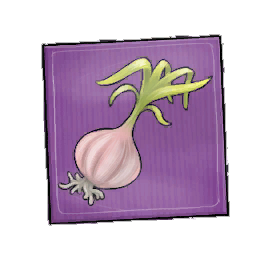 Langard Garlic Seed Packet