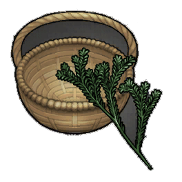 Abliflorus Rosemary