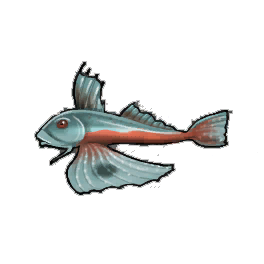 Bigeye Gurnard