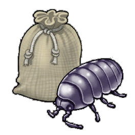 Furtive Louse