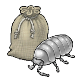 Gray Louse