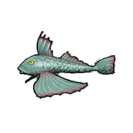 Large Scaled Gurnard