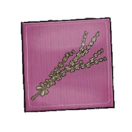 Woolly Thyme Seed Packet