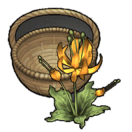 Amber Duskbloom