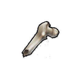Cracked Femur Shard