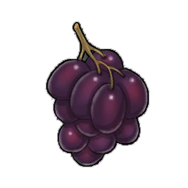 Pebble Hill Grapes