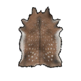 Sturdy Deer Hide