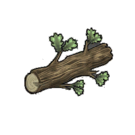 Basic Oak Log