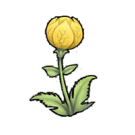 Veined Globeplant