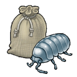 Reclusive Louse