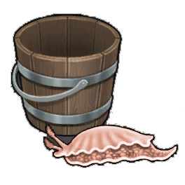 Fleshy Sea Slug