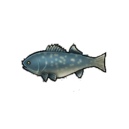 Tsunami Bass