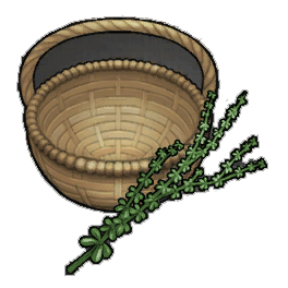 Avvanyse Thyme