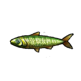 Sleek Sardines