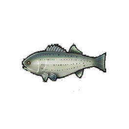 Giant Bass