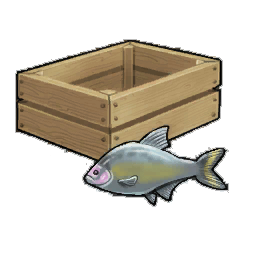 Gilt-Headed Bream