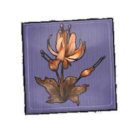 Sunset Duskbloom Seed Packet