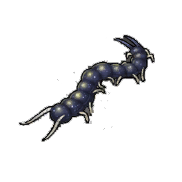 Moonlight Centipede