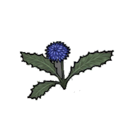 Bluefuzz Dandelion
