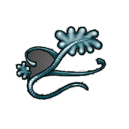 Deep Sea Kelp