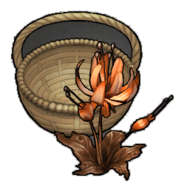Sunset Duskbloom