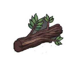 Moderate Mahogany Log