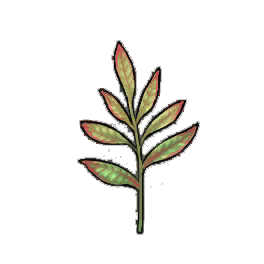 Mighthelm Sage