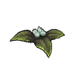 Harshvenom Nettle