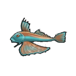 Grand Gurnard