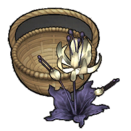 Moonbeam Duskbloom